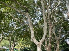 -人民公园-相亲角