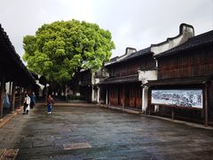 -乌镇西栅景区