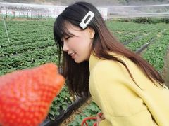 -丹樱生态园
