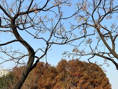 -新白鹿餐厅(松江开元地中海店)