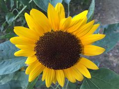 -艾溪湖湿地公园