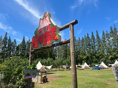 -前小桔亲子创意农场·草莓采摘·露营烧烤