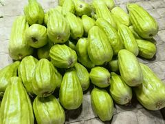 -中环花鸟鱼虫市场