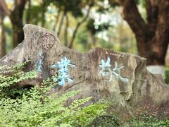 -重庆彩云湖湿地公园