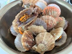 -宾朋海鲜美食特色餐厅·纯手工鲅鱼水饺(兴海路店)