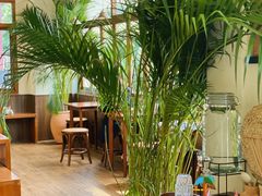 -椰椰大吉(海城店)