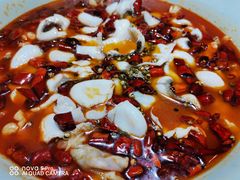 -青花椒花椒鱼(合生汇店)