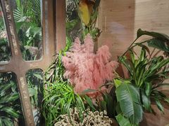 -春暖花开(西溪店)