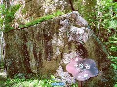 -汤旺河林海奇石景区