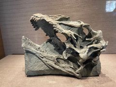 -自贡恐龙博物馆