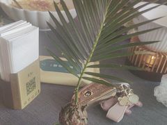 -南里山房(虹桥新天地店)