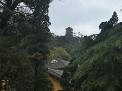 -缙云山景区