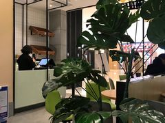 大堂-MUSANG KING猫山王(龙湖杭州滨江天街店)