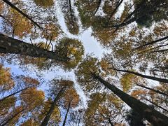 -山王坪喀斯特国家生态公园