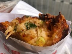 -半月镰胡姐脆皮萝卜饺子