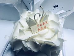 -BLACKSWAN黑天鹅(环球店)