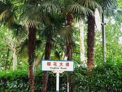 -武汉大学-樱园
