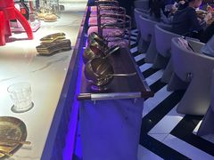 -Darling Queen·Mini·Live·House