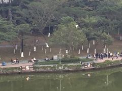 -东莞植物园