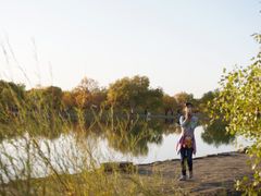-金塔沙漠胡杨林景区