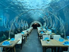 -海棠湾洲际-涛·海底餐厅·美人鱼·自助餐·海底隧道