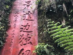 -赤水丹霞旅游区·大瀑布