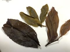-养心斋涵信茶艺茶道培训