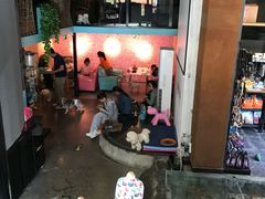 -百好乐宠物友好餐厅(朝外大街店)