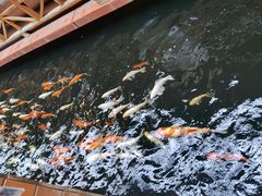 -侠成水上农庄(工业大道店)