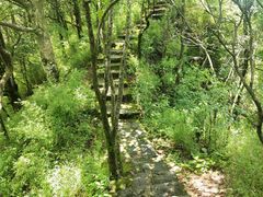 -天燕原始生态旅游区-天门垭景区