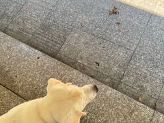 -福州开元寺