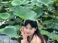 -惠州西湖丰渚园
