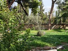 -奥林匹亚宙斯神庙