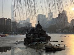 -团结湖公园