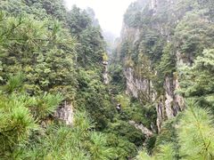 -苍山感通索道