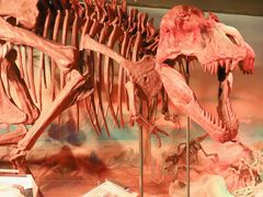 -正佳自然科学博物馆