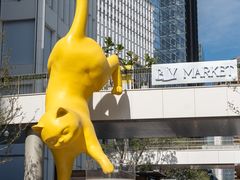 -深圳湾万象城(南山店)