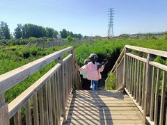 -亲兄弟真人CS团建拓展基地