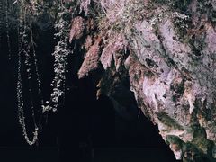 -三门海