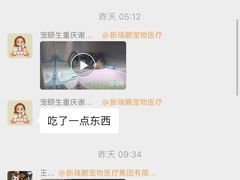 -宠颐生贝利健动物医院(谢家湾分院)