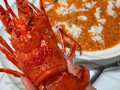 -曼格纳·曼芯馆(杨浦店)