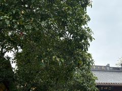 -灵顺寺