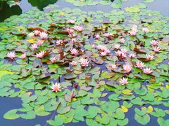 -国家植物园南园