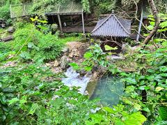 -三峡人家风景区