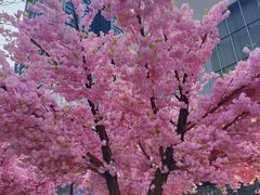 -东莞松山湖万象汇