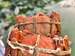 -徐岛主·特色农家乐(阳澄湖莲花岛店)