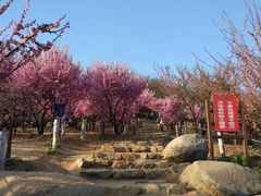 -八仙过海景区