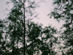 -晓港公园