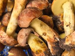 -菌之家·专业纯野生菌火锅·特色炒菌