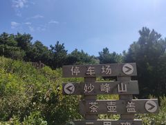 -阳台山自然风景区